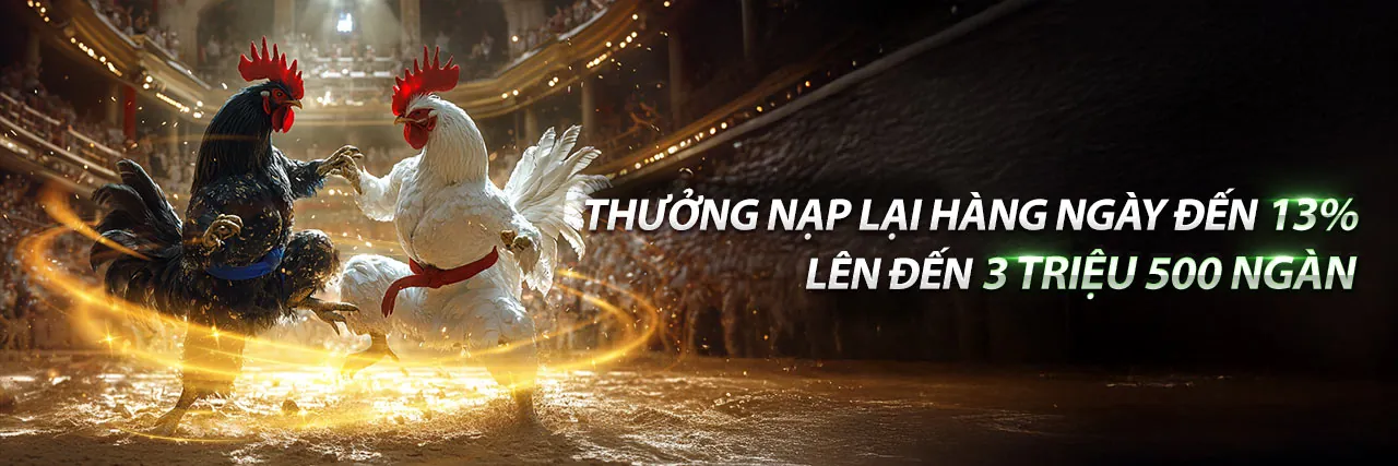 Đá gà trực tuyến kịch tính tại vivu88 link vào